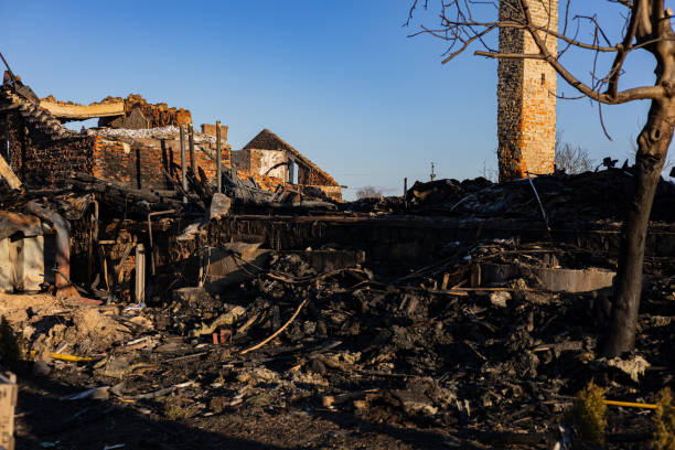 Reliable Fire Damage Repair contractor in Estero, FL by Fire Damage Doption