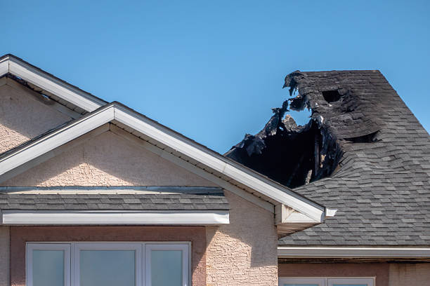 Top rated local Fire Damage Repair specialists in Estero, FL